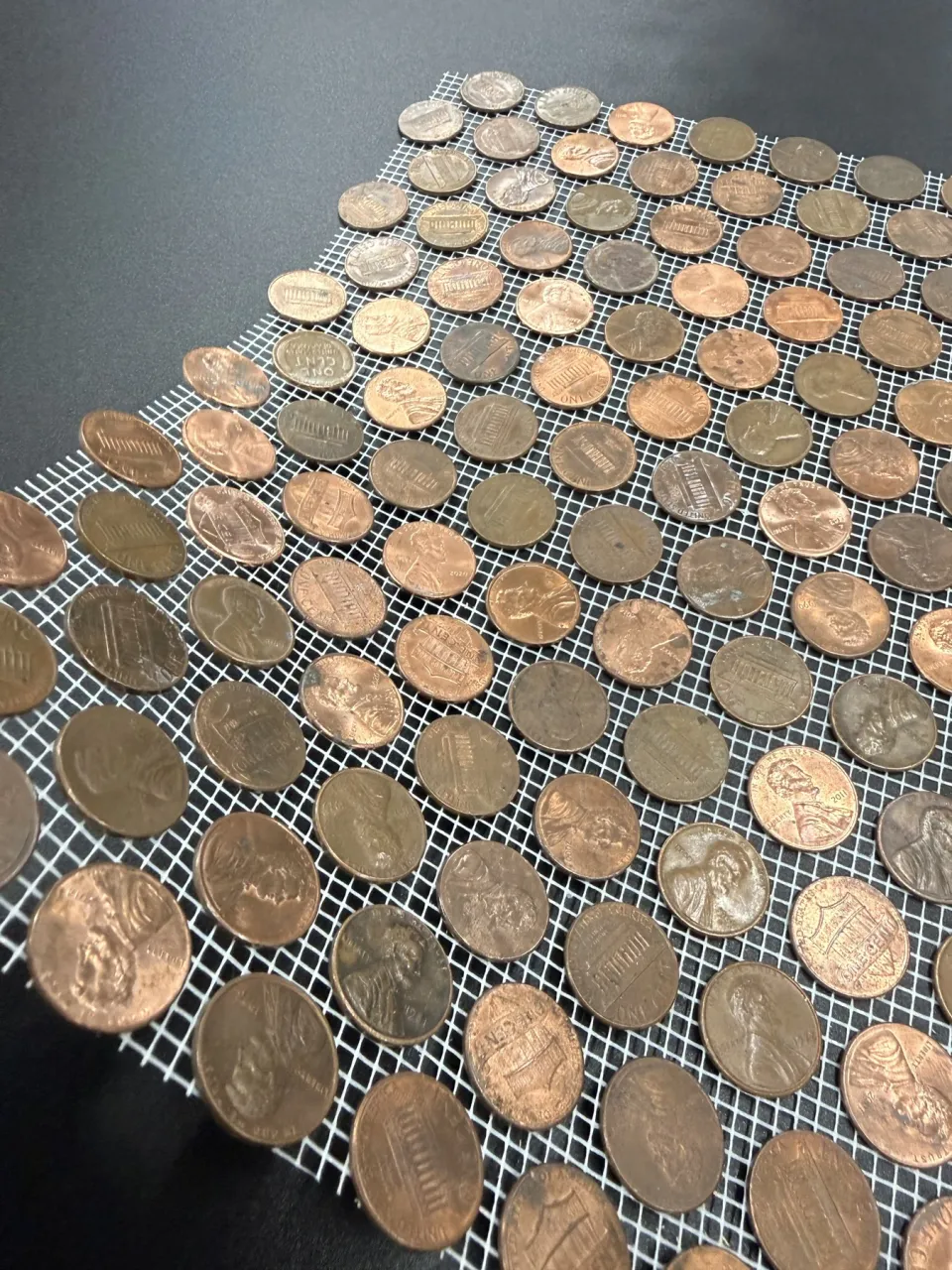 A close view of the real pennies, mesh, and varied coin faces